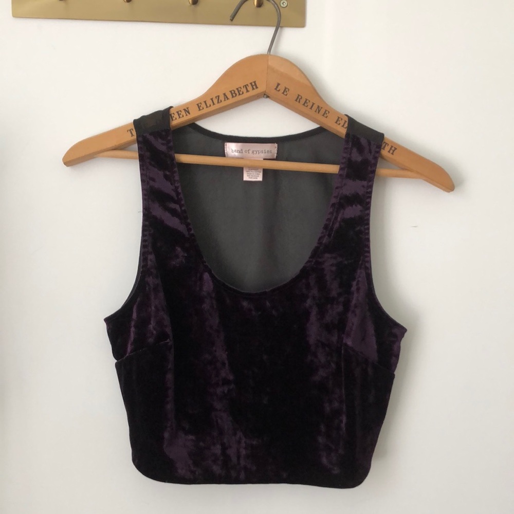 Band of Gypsies Purple Velvet Crop Top from Urban Outfitters size S